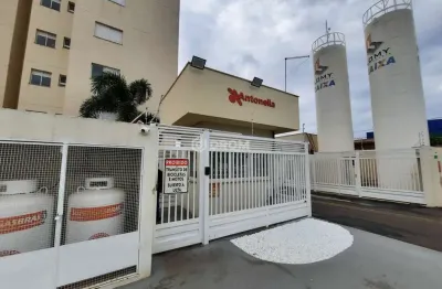 Apartamento para locação em araçatuba, vila alba, 2 dormitórios, 1 suíte, 1 banheiro, 1 vaga