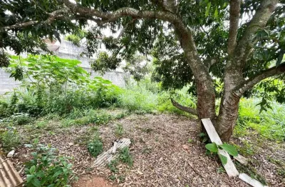 Terreno à venda na Beco Olímpia Antunes Da Costa, Geribá, Armação dos Búzios