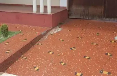 Casa com 3 quartos à venda na Vila Camilópolis, Santo André 