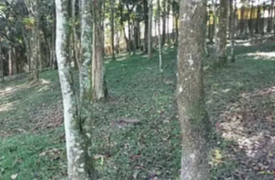 Terreno à venda no Dos Finco, São Bernardo do Campo 