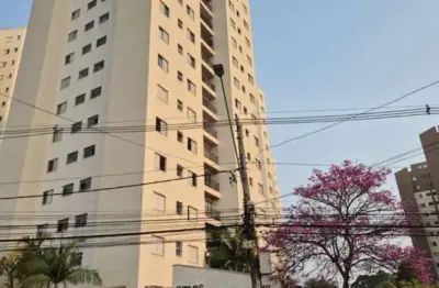 Apartamento 3 dormitórios 1 vaga dom jaime de barros câmara planalto sbc