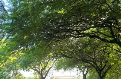 Terreno em Condomínio para Venda em Itupeva, Parque dos Resedás