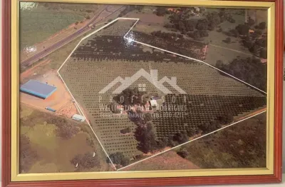 Terreno à venda na Rodovia Anhanguera, Jardim Nova Limeira, Limeira