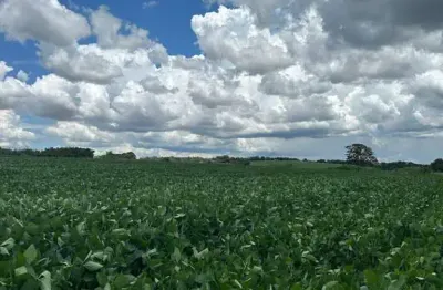 Ótima área industrial na rodovia limeira / arthur nogueira
