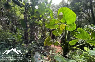 Terreno à venda na Área Rural, Dos Frades, Limeira