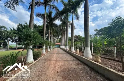 Chácara de 10.000m² no bairro do pinhal em limeira-sp