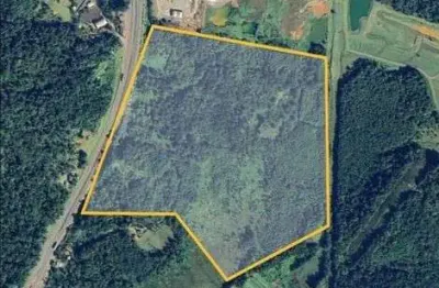 Terreno à venda na Marta, Morretes 