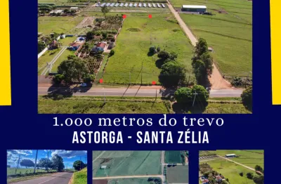 Chácara / sítio à venda na Avenida Doutor José S. Azevedo, Zona Rural, Astorga