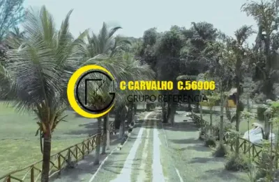 Sítio 75.000m² com nascente e água potável em guapimirim -rio  de janeiro
