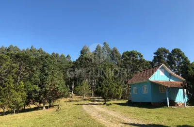Chácara / sítio com 3 quartos à venda na laranjeiras, 14000, centro, campo alegre por r$ 1.500.000