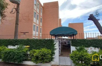 Apartamento com 2 dormitórios à venda, 60 m² por r$ 220.000,00 - jardim ipiranga - americana/sp