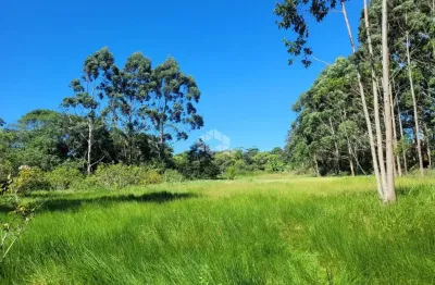 Chácara / sítio com 1 quarto à venda na Rua Manoel Petronilho da Silveira, 1100, São João do Rio Vermelho, Florianópolis