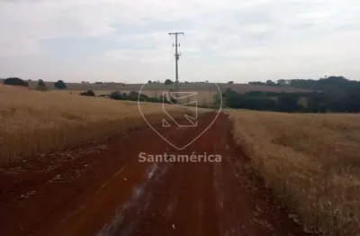 Terreno comercial para alugar na Rua Três, --, Património Regina, Londrina