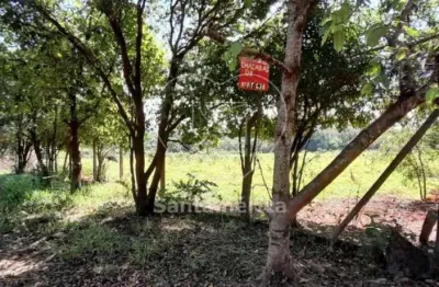 Terreno comercial para alugar na Avenida Das Maritacas, Terreno, --, Ideal, Londrina