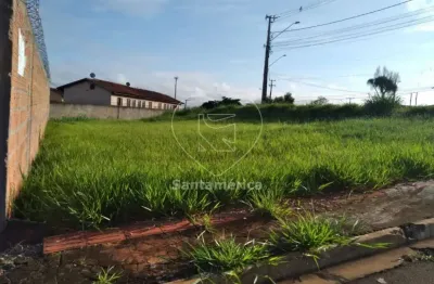Terreno à venda na Rua José de Souza e Oliveira, --, Jardim Strass, Londrina