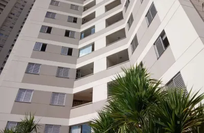 Apartamento para alugar no edifício brisas residence club lago igapó com 3 quartos na região sul de londrina