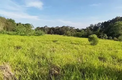 Ótimo terreno à venda com mais de 15 mil metros quadrados em excelente localização na zona sul de londrina
