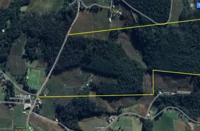 Terreno comercial para alugar no Forqueta, Caxias do Sul 