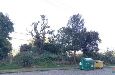 Terreno à venda no panazzolo, caxias do sul  por r$ 4.250.000
