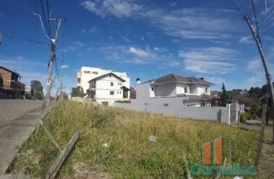 Terreno comercial para alugar no planalto, caxias do sul  por r$ 3.000