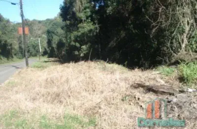 Terreno à venda no Desvio Rizzo, Caxias do Sul 
