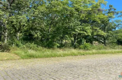 Terreno à venda na colina sorriso, caxias do sul  por r$ 320.000