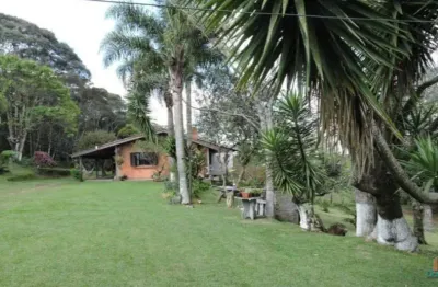 Chácara / sítio com 3 quartos à venda no são gotardo (distrito), flores da cunha  por r$ 990.000