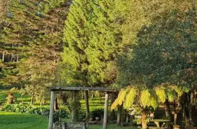 Chácara / sítio à venda na Fazenda Souza, Caxias do Sul 