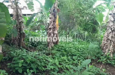Terreno à venda no Jardim Guanabara, Rio de Janeiro 
