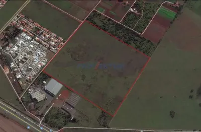 Terreno à venda na avenida alexandre cazelatto, sp 332, betel, paulínia por r$ 70.525.000
