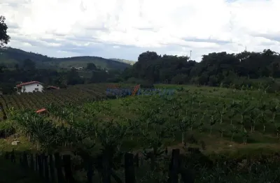 Chácara / sítio com 3 quartos à venda na estrada iguatemi, 142, caixa d´água, vinhedo, 200 m2 por r$ 1.500.000