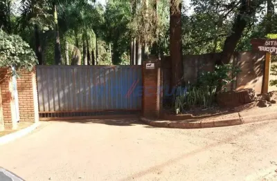 Chácara / sítio com 3 quartos à venda na estrada do condomínio long island, s/n°, tanquinho velho, monte alegre do sul, 300 m2 por r$ 2.500.000