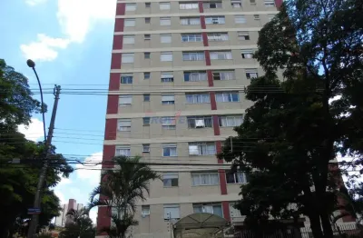 Apartamento com 3 quartos à venda na rua major luciano teixeira, 66, bonfim, campinas, 117 m2 por r$ 430.000