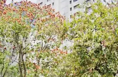 Apartamento com 4 quartos à venda na avenida princesa d'oeste, 1295, jardim proença, campinas, 156 m2 por r$ 870.000