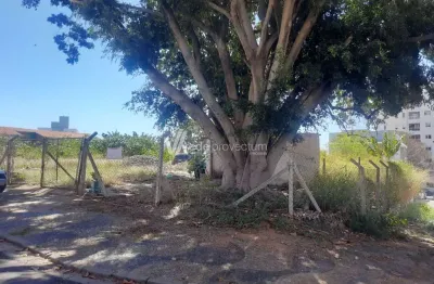 Terreno comercial para alugar na rua dom lino deodato rodrigues de carvalho, s/n°, jardim primavera, campinas por r$ 4.500