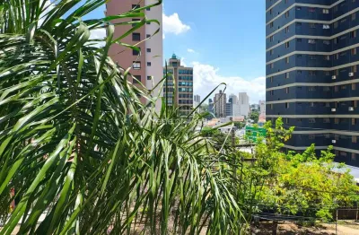 Apartamento com 3 quartos para alugar na rua doutor diogo prado, 134, cambuí, campinas, 100 m2 por r$ 2.800