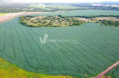 Fazenda à venda na rodovia mt-130, s/n°, zona rural, primavera do leste, 24200 m2 por r$ 63.000.000