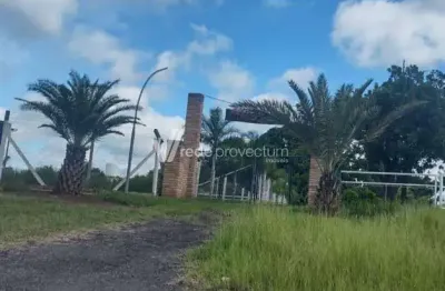 Casa com 3 quartos à venda no centro, meridiano , 30250 m2 por r$ 2.250.000