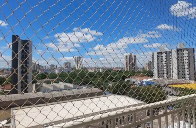 Apartamento com 3 quartos para alugar na avenida general carneiro, 503, ponte preta, campinas, 76 m2 por r$ 2.600