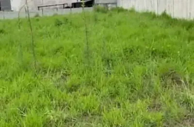 Terreno à venda, 9.867 m² para incorporação por r$ 16.000.000 - colônia - são paulo/sp