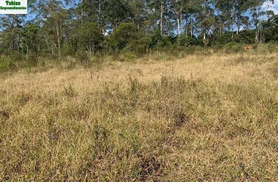 Área à venda, 25000 m² por r$ 8.000.000,00 - colônia - são paulo/sp