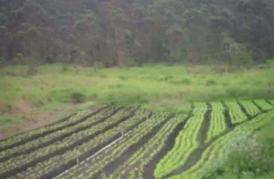 Área à venda, 62635 m² por r$ 2.318.000,00 - vila aparecida - suzano/sp