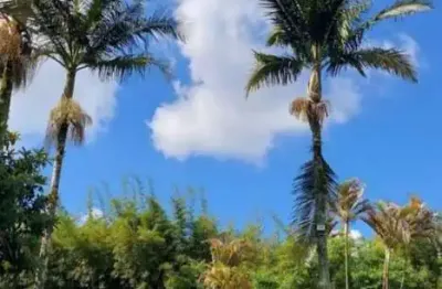 Chácara incrível com 13 dormitórios à venda, 3.000 m² aceita permuta - ipelândia - suzano/sp