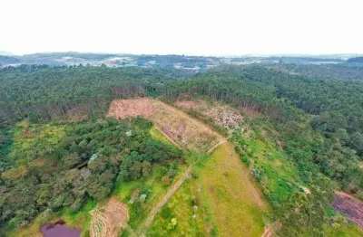 Área à venda, 169400 m² por r$ 5.750.000,00 - centro - biritiba mirim/sp