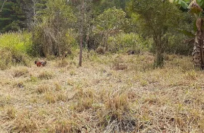 Casas com 2 e 3 dormitórios e terreno à venda, 1510 m² por r$ 467.000 - parque cerejeiras - suzano/sp