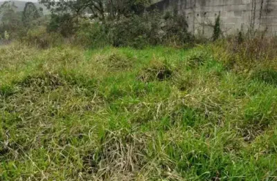 Terreno à venda, 1500 m² por r$ 200.000,00 - quinta divisão - suzano/sp