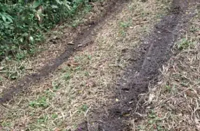 Área à venda, 7 m² por r$ 1.000.000 - roncon - ribeirão pires/sp