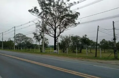 Área à venda, 42000 m² por r$ 2.940.000,00 - de frente p/ rodovia indio tibiriça - palmeiras - suzano/sp