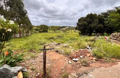 Grande terreno no setor pontal sul – excelente localização!