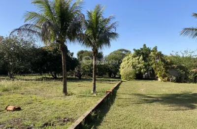 Chácara para venda em londrina, warta, 3 dormitórios, 1 banheiro